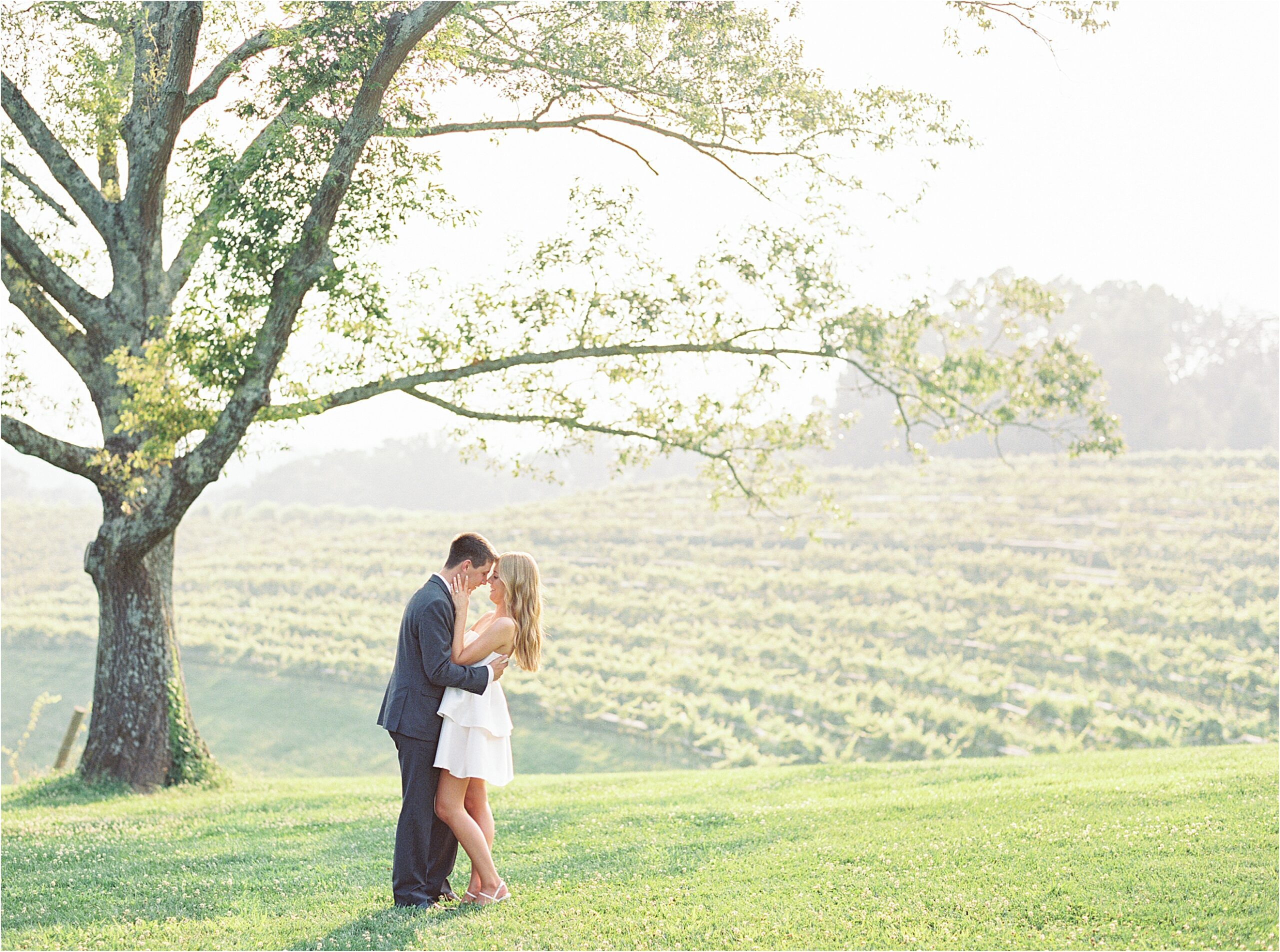 Couple embracing in an open field under a tree.